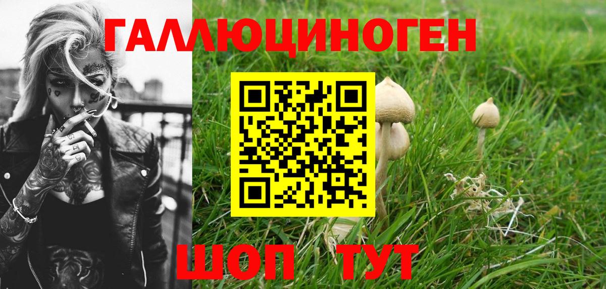 Псилоцибиновые грибы GOLDEN TEACHER Россошь