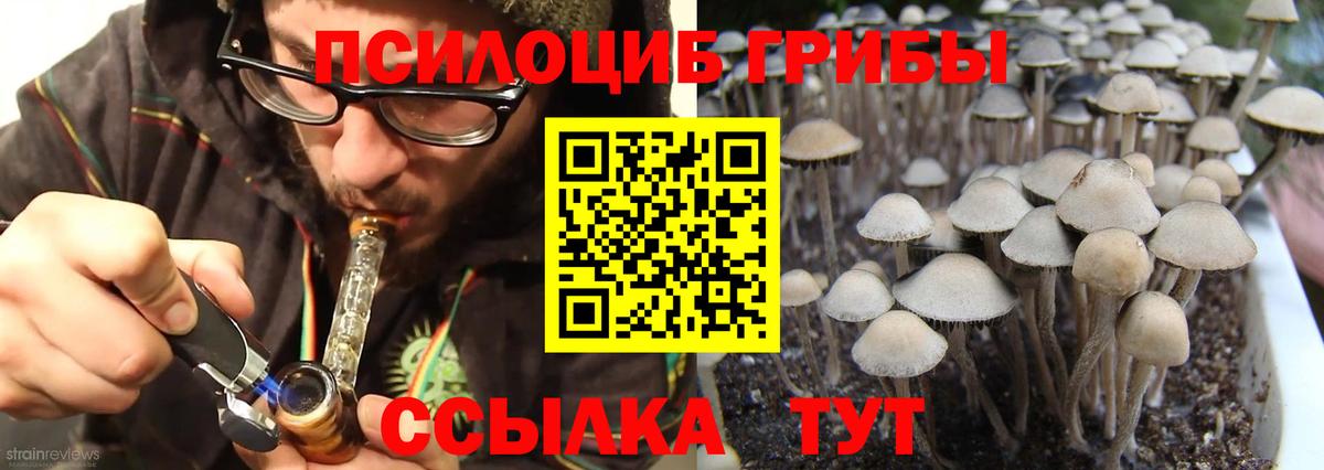 Россошь  Псилоцибиновые грибы мухоморы  Псилоцибиновые грибы Magic Shrooms  Вход с VPN 